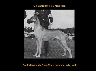 CH Sanlodane's My Beau X My Honey's Lady Luck