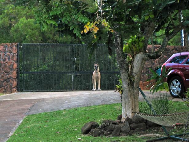 Anadane Kennel Pupukea